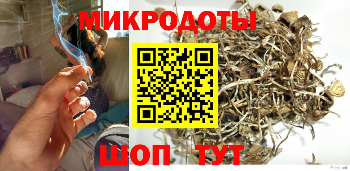 купить наркотики цена  Галлюциногенные грибы прущие грибы  Алексин  Вход с VPN  Псилоцибиновые грибы мицелий 